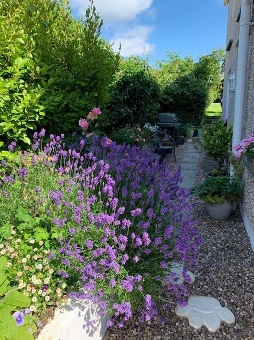 Llangwm  Entire 2 Bed Cottage - Llangwm מראה חיצוני תמונה